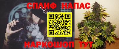 соль ск Моздок