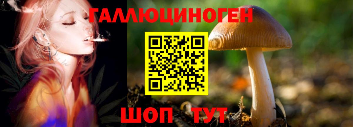 Бор  Галлюциногенные грибы мухоморы  Галлюциногенные грибы Psilocybe  купить наркотик  Вход с VPN 